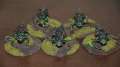 Necron Acanthrites