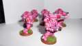 Equestria Astartes (a.k.a My Little Pony Marines)