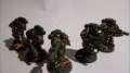 Salamanders Sternguard Squad 