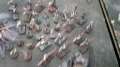 40k Battle Report: New Daemons vs Necrons