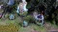 Hordes Trollsbloods & Display Boards 