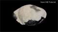 How to Make a Snow Hill
