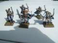 Shadow warriors