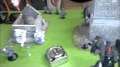 40k Battle Report: 1875pts Tau vs Tau/Space Wolves