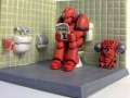 Funny Pics