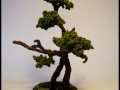 Scratch built Ent No.2