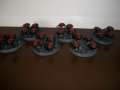 My Scarab Swarms