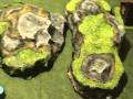 40k battle report: orks vs space marines