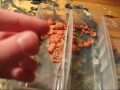 Vlog Episode 4