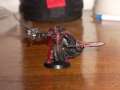 just a few of my daemonhunter models