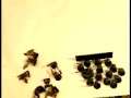 Peters warhammer 40,000 battle tactics E.T.G. 1
