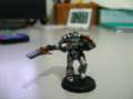 Grey Knight and Ruin