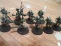 Cadian vets 90% finished