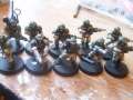 2nd Cadian Vet. squad, almost finished!