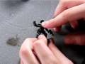Priview on how to paint a Cadian Officer