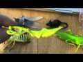 Starship Troopers Dollar Store Bug
