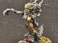 Drycha