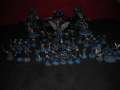 My army update and review