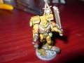  assault marines