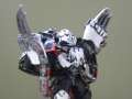 Kayvaan Shrike