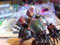 Cryx - Nightfallish Update