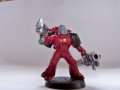 Templar of apocalypse