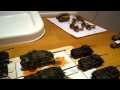 1/72 german armour,flames of war