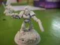 My New Terminators and Space wolves