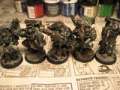 Sanguinary Guard WIP