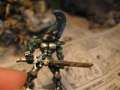 Eldar