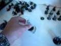 Tyranid Vlog