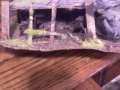  this is my first time making terrain