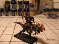 Dark Elf Dreadlord on Cold One
