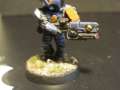 Tau warrior