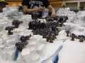 Sone of my games day pics