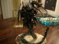 Trygon bigger pics