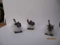 dwarf ghosts (pic heavy)