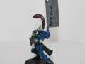 Eldar dire avenger