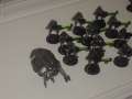 Painted Necrons