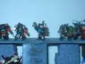 painted termies