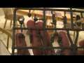 Chaos Space Marine Battleforce Unboxing