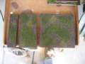 More of my Gaming Table