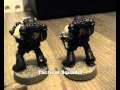 scorched skulls showcase 
