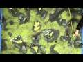 BatRap Tau Vs Marine Turn 1 MUST SEE