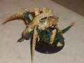 Tyranids