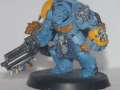 Space Wolf Terminators