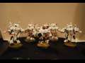 My Tau Army