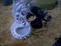1750 CSM vs Nids....