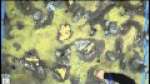 Tau Vs Marines Turn 4