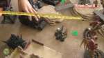 Beat Matt Batrep: Orks vs Tyranids (Rematch) Part 2